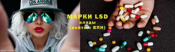 индика Зерноград