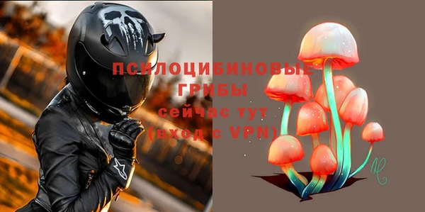 стаф Зеленодольск
