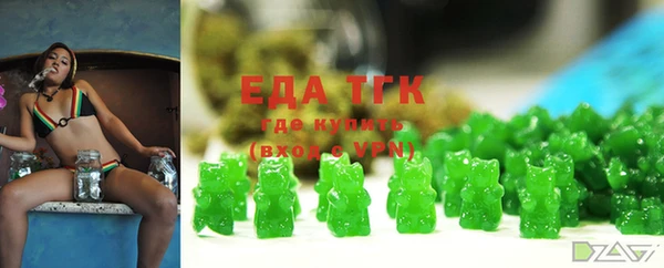 индика Тында