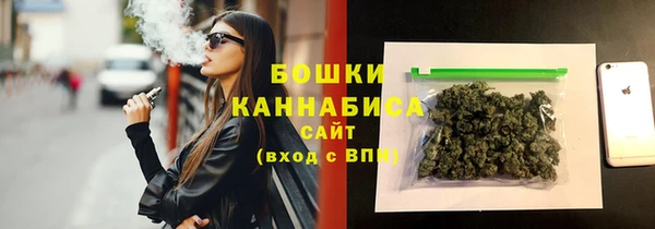 индика Зерноград