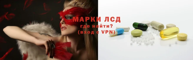 дмт Тутаев