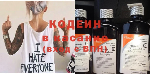 прущие грибы Заволжье