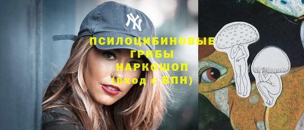 стаф Зеленодольск